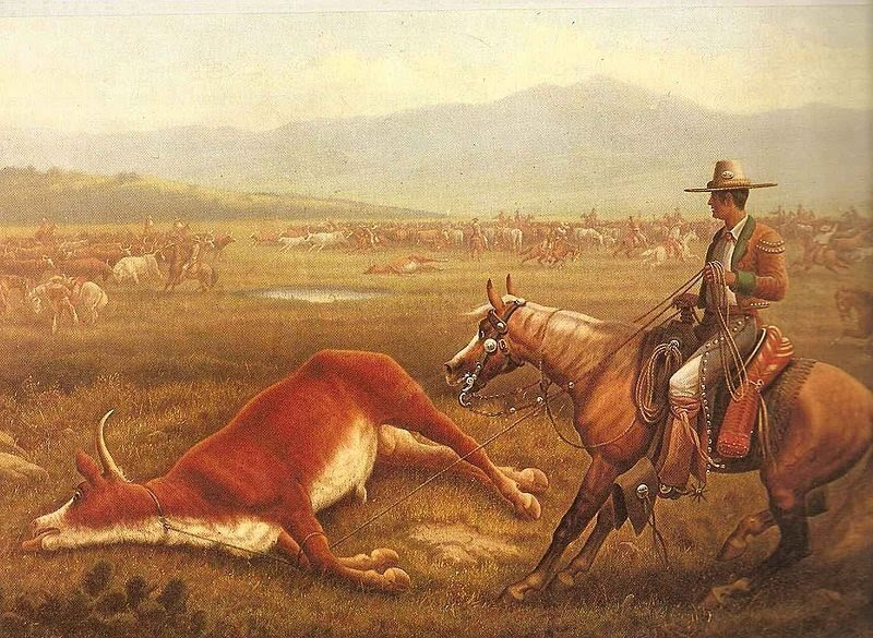 A <em>Vaquero</em> roping cattle, California, c. 1830s.