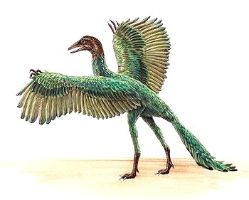 最高のコレクション 始祖鳥 イラスト フリーアイコン イラスト素材の無料ダウンロード