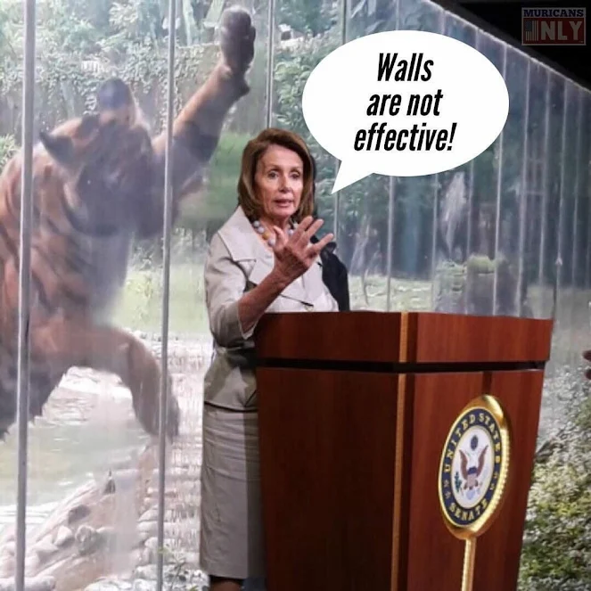 WALLS ARE NOT EFFECTIVE - Ha! Sure! @SpeakerPelosi illegals =Votes for you!