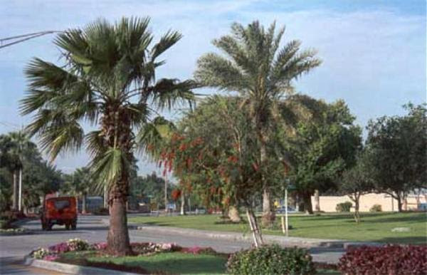 أعلنت شركة أرامكو السعودية، اليوم الأربعاء، عن المراجعة الدورية لأسعار البنزين، موضحة أن أسعار شهر يونيو الحالي ستشهد ارتفاعا طفيفا عما هي عليه الآن. Saudi Aramco S Main Camp And Dhahran Hills Dhahran