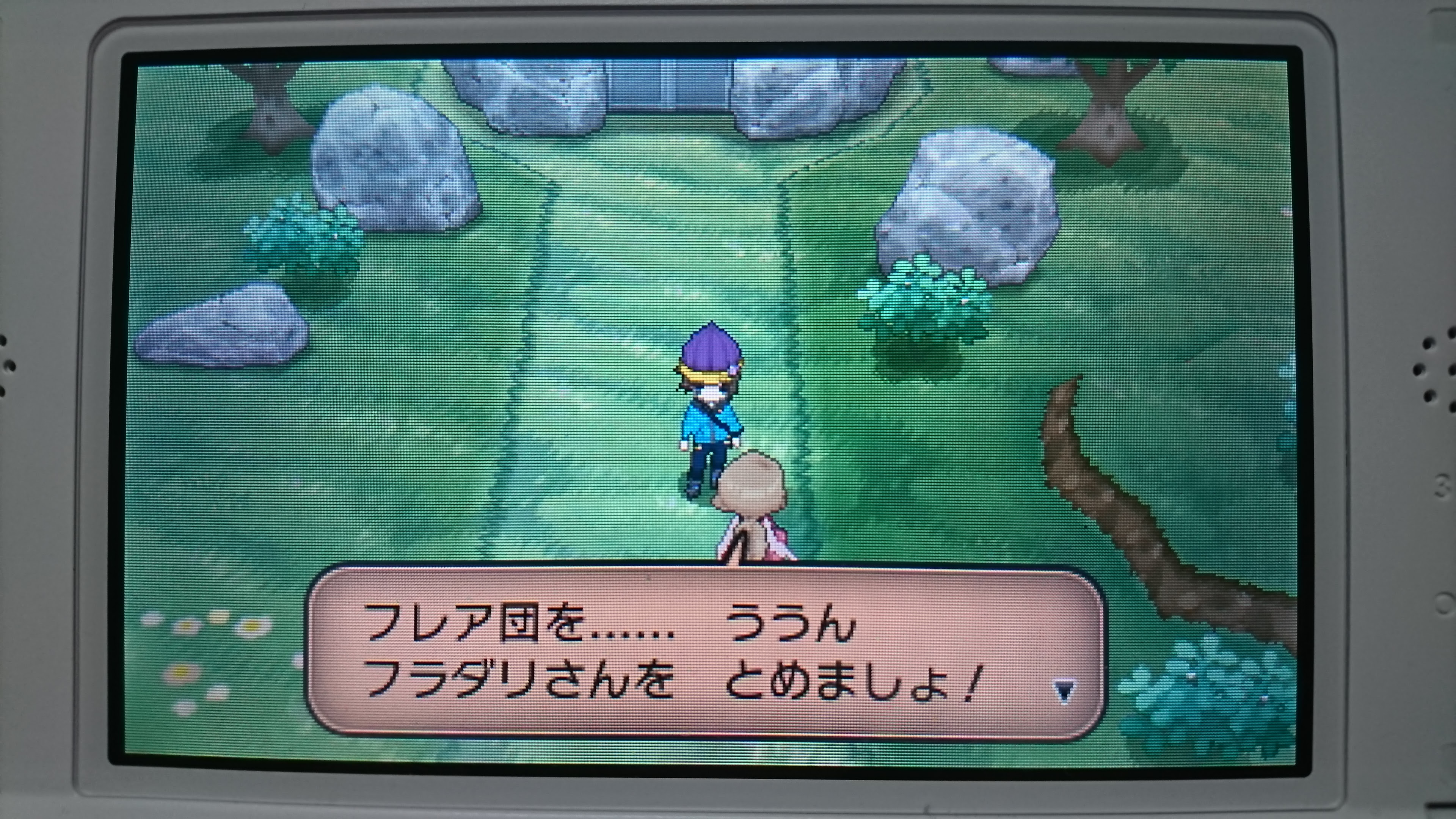 迷いの森 Xy イメージポケモンコレクション
