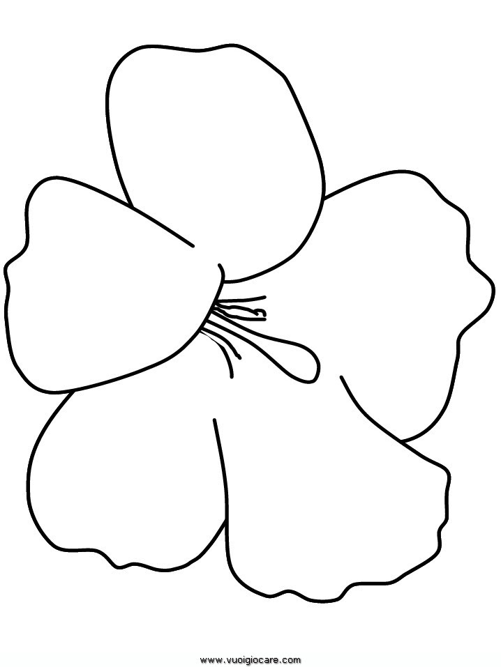 Disegni Facili Di Fiori Stampae Colorare