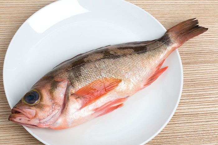 これまでで最高のメバル 毒 症状 魚のすべて