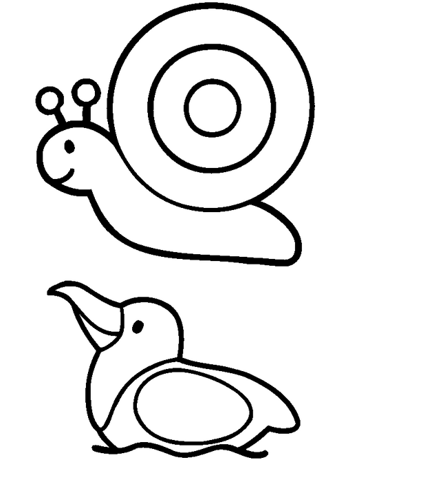 Easy Animal Drawings With Color Drawing Ideas Collection