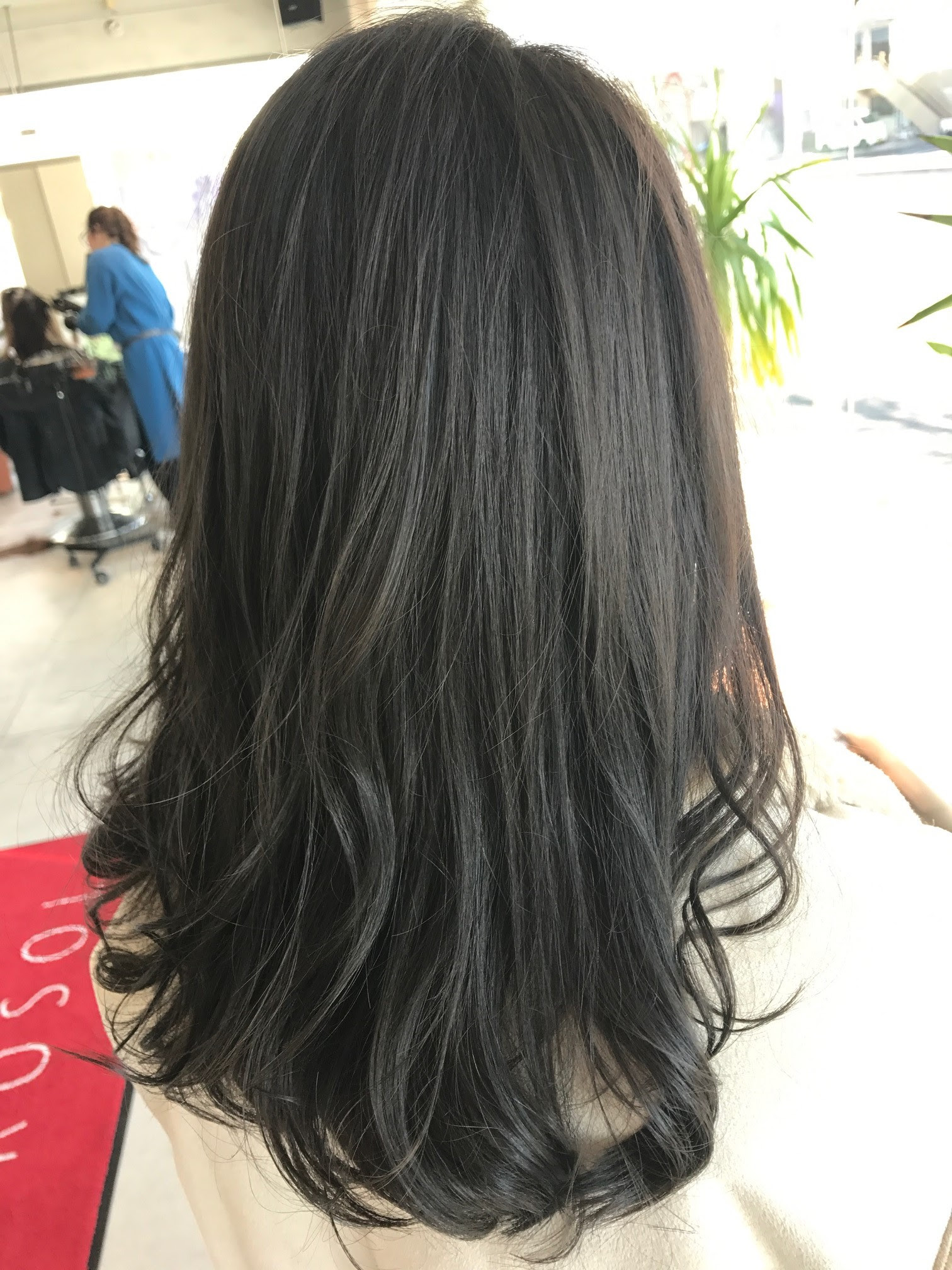 ロイヤリティフリー ヘア カラー ブラック アッシュ Kamigatahair