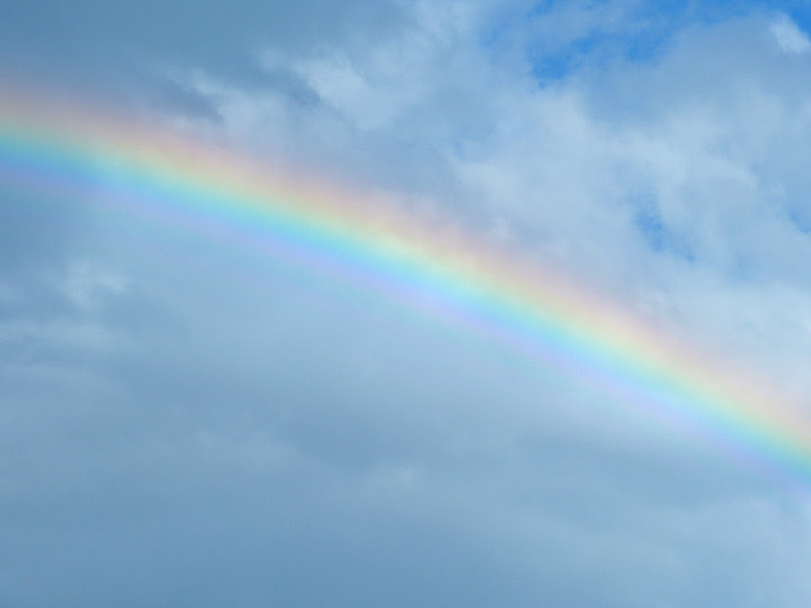 新着空 虹 写真 フリー すべてのイラスト画像