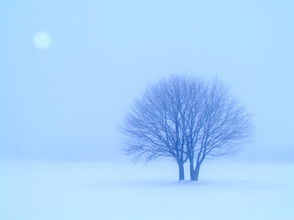 すべての花の画像 ロイヤリティフリー雪景色 壁紙 イラスト
