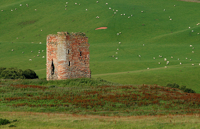 File:Corsbie Tower - geograph.org.uk - 1422694.jpg