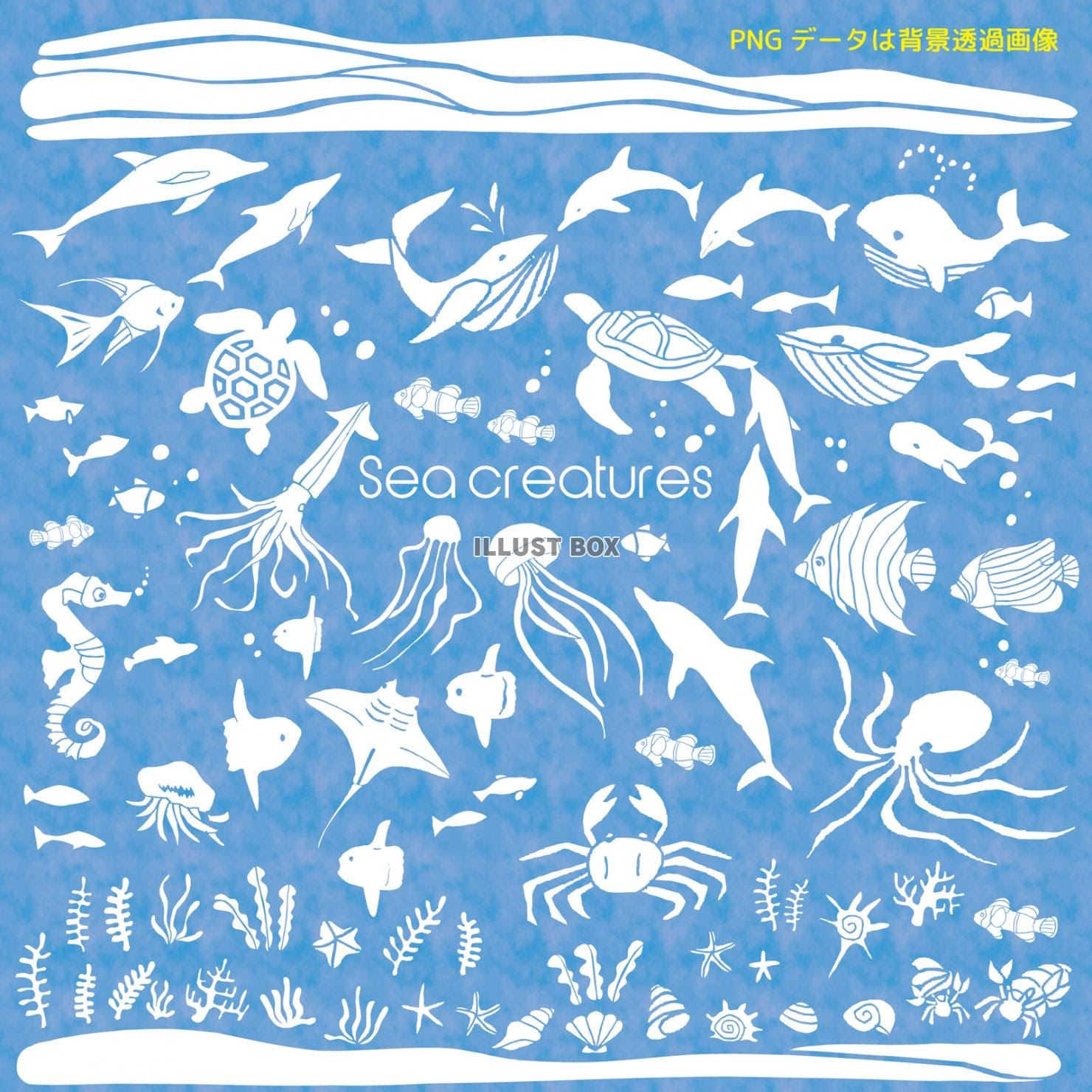 おしゃれ 魚 イラスト 綺麗 Pictfreejokileven