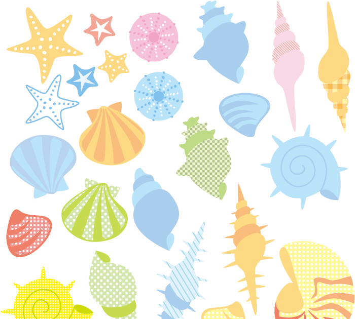 最も選択された 貝殻 イラスト かわいい 貝殻 イラスト かわいい