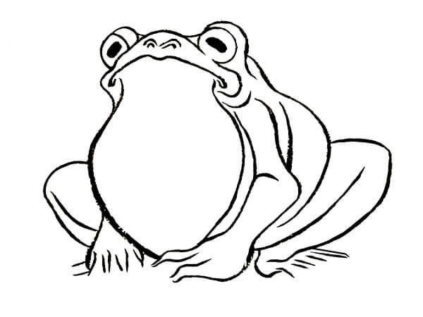100以上 カエルの絵 画像