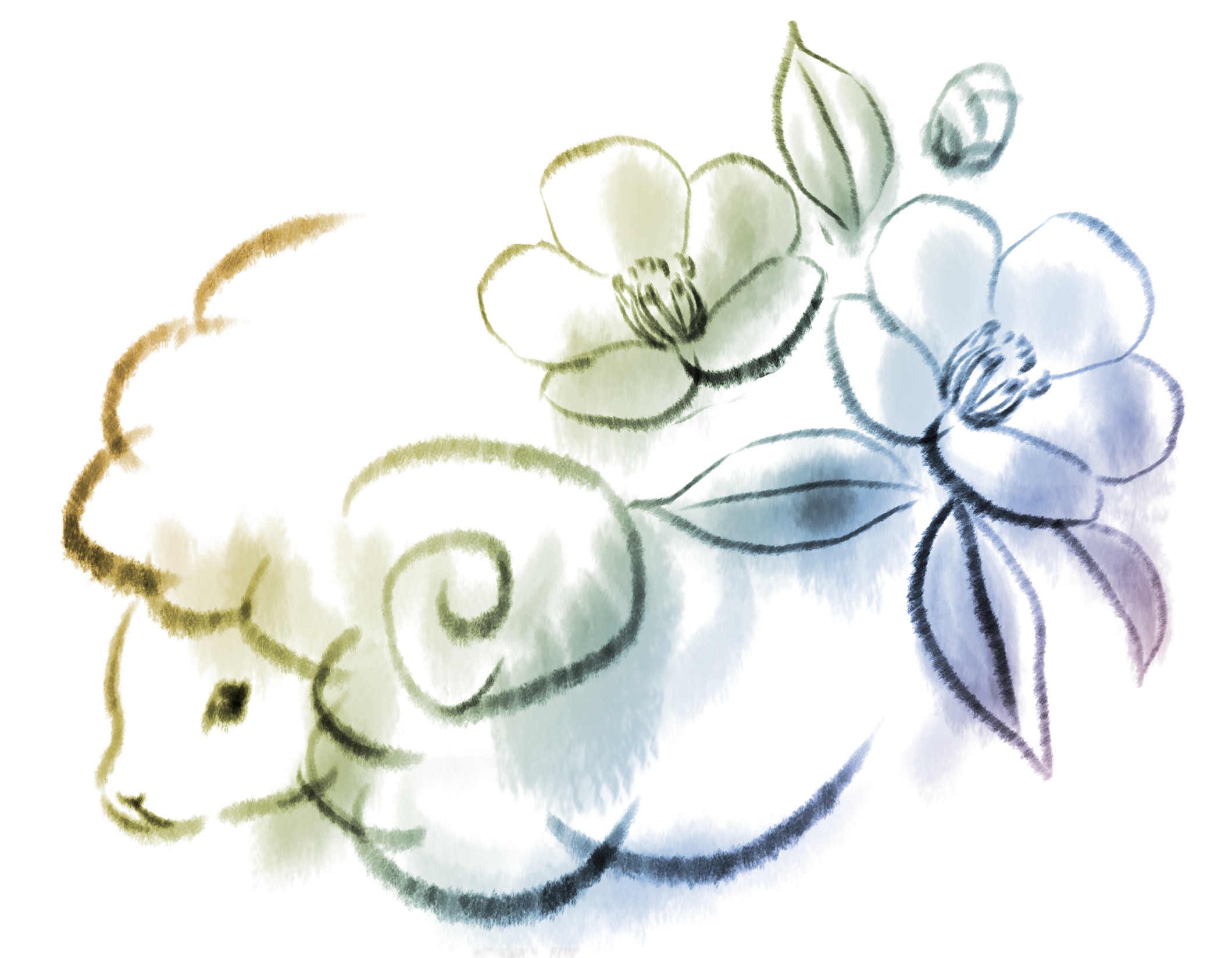 美しい花の画像 綺麗なイラスト 羊 かっこいい