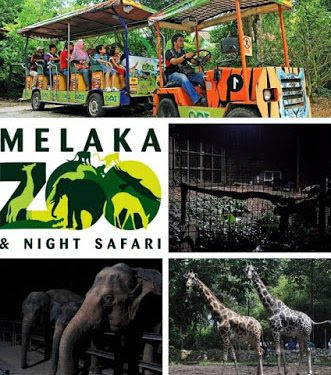 Home tempat menarik tempat menarik di selangor yang terkini. Tempat Menarik Waktu Malam Di Melaka Sesuai Untuk Kanak Kanak Daily Cuti
