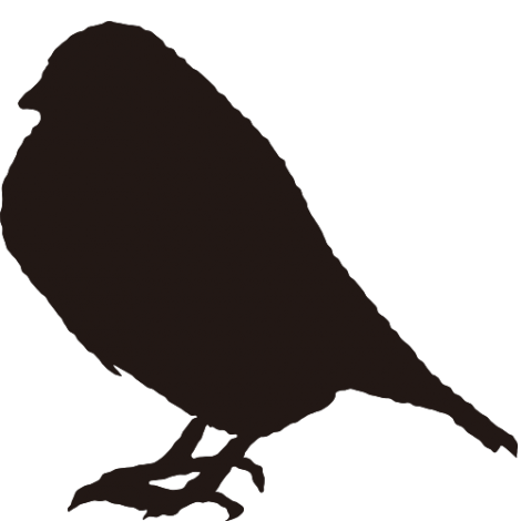 かわいいディズニー画像 新鮮な鳥 イラスト シルエット フリー