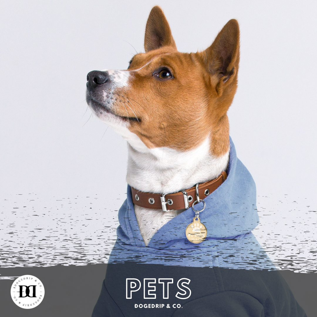 Looking for the best wallpapers? Pets Tagged Dog Accessories Ä'ogedrip Co