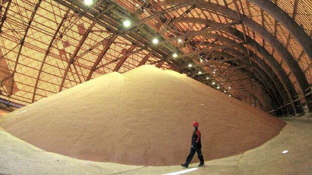 A glut of potash on the world market has caused prices to plunge and led to layoffs and mine closures across the industry.