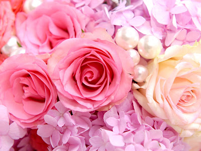 ピンク 薔薇 壁紙 高画質 134290
