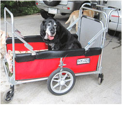 最も共有された 大型 犬 カート 手作り 大型 犬 カート 手作り Jokiluimg