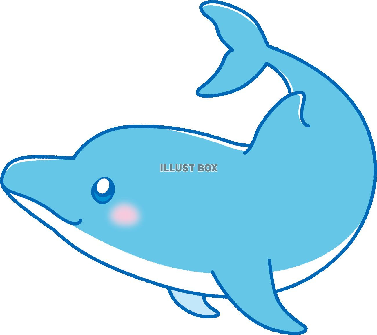 美しい花の画像 心に強く訴えるおしゃれ 可愛い イルカ イラスト