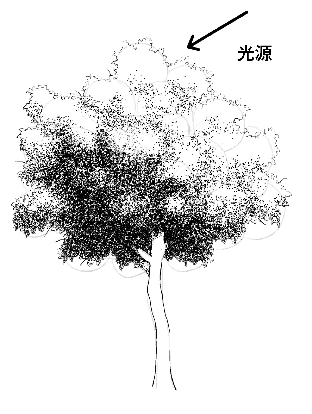 35 木 スケッチ 描き方