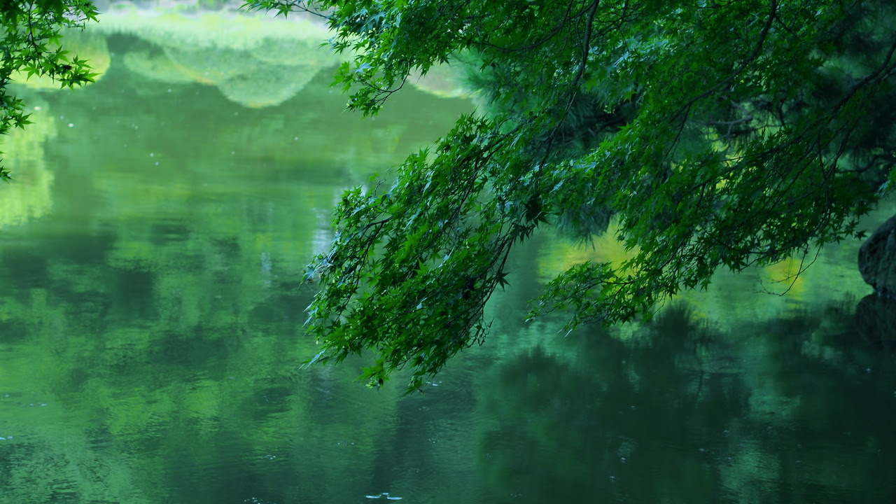 最新 言の葉の庭 壁紙 Jpbestwallpaper