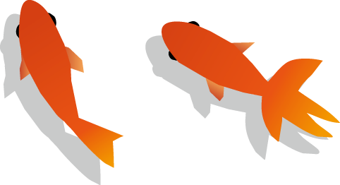 100 金魚 イラスト 和風 かわいい無料イラスト素材