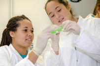 Two CDC Disease Detective Campers complete a PFGE Lab exercise