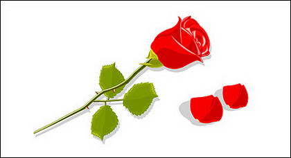 Gambar Bunga Mawar Merah Vektor - Koleksi Gambar Bunga