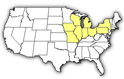 Poisonous Snakes In Wisconsin Map | Time Zones Map
