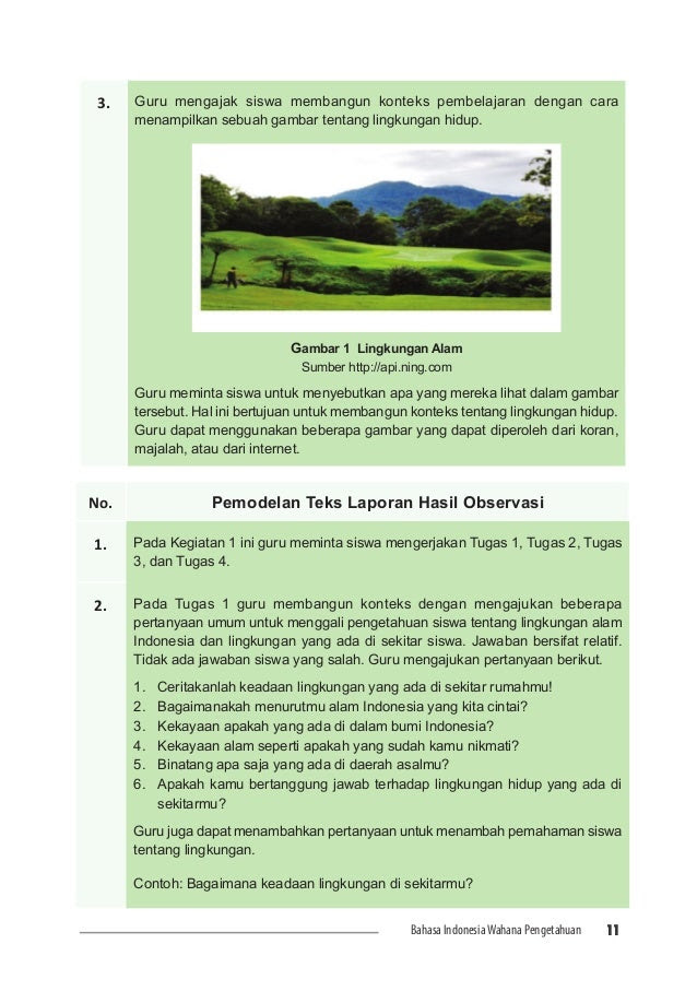 Contoh Teks Hasil Observasi Alam - Cable Tos