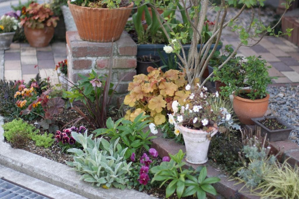 無料印刷可能玄関 前 玄関 鉢植え おしゃれ すべての美しい花の画像