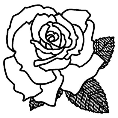 美しい花の画像 新着薔薇 イラスト フリー 白黒