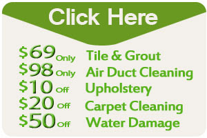 Northern plains drainage systems is based in oakville, manitoba and operates throughout western canada. Tile Cleaning In Dallas Tx Grout Cleaner Experts