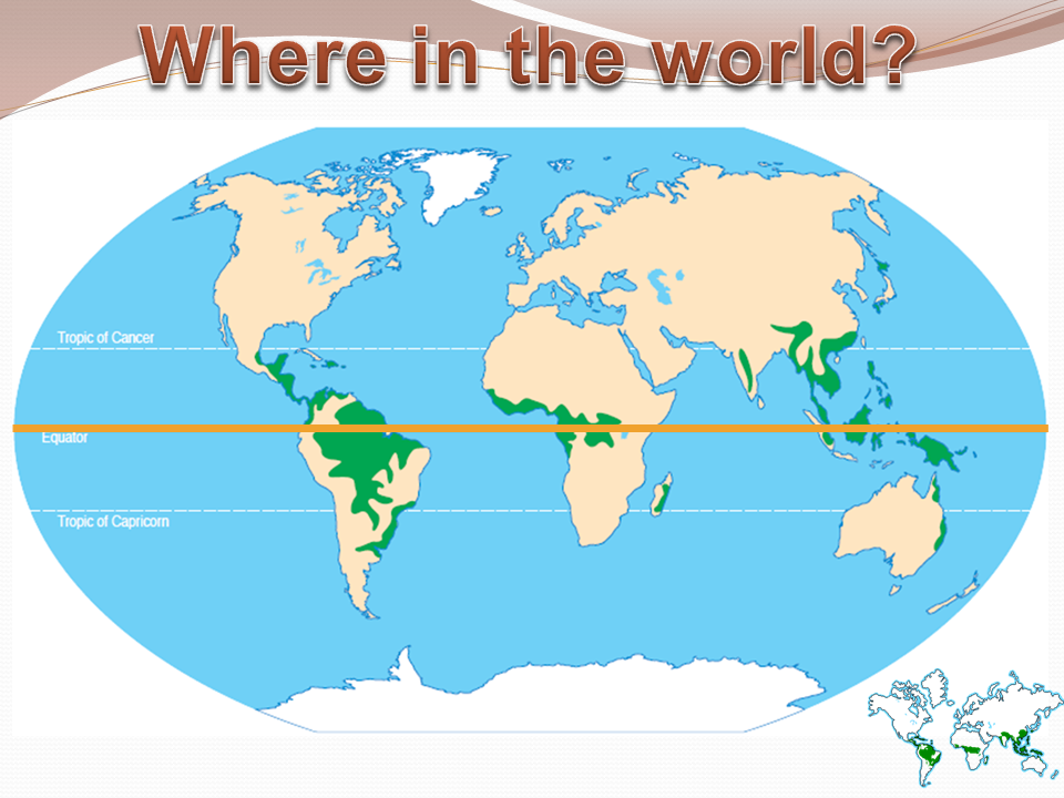 We did not find results for: Biome Tropical Rainforest Leaving Certificate Geography