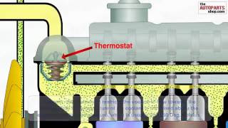 Perodua Kembara Throttle Body - Surat 29