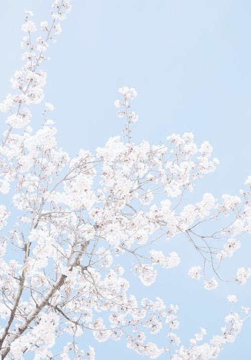 Light Blue Anime Aesthetic Background Anime Wallpaper Hd