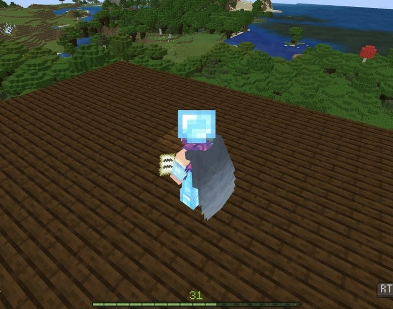 マイクラ Pe シード 値 19 ピクチャー ニュース