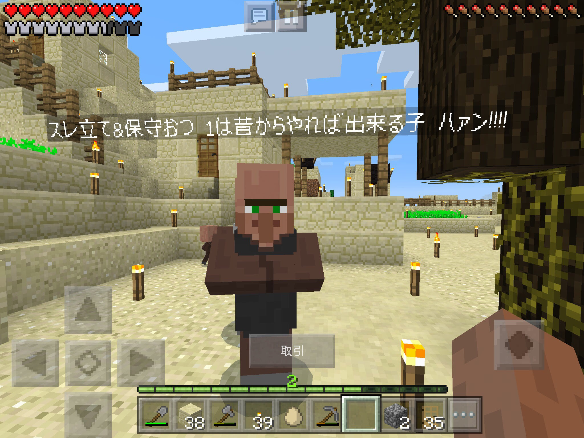 最高のマインクラフト 最高のマイクラ エリトラ 飛び方 スマホ