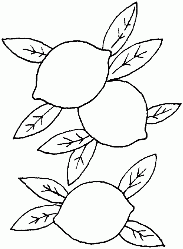 Lemons might be tart, but they make oh so tasty treats. Lemons Coloring Pages Clip Art Library