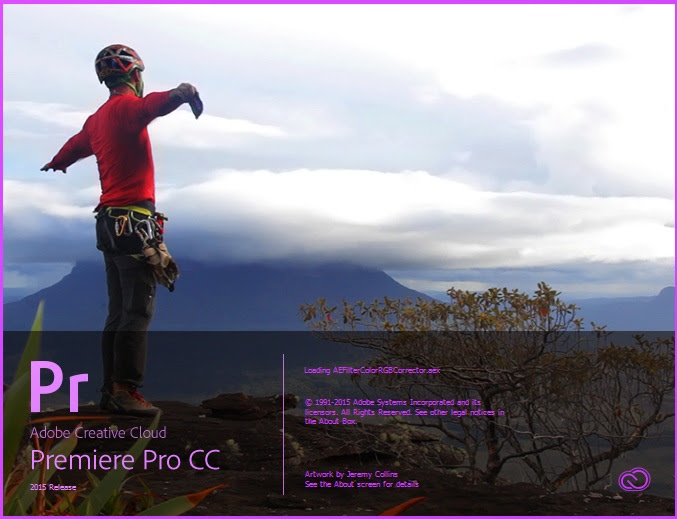 Many other features and options. 15 Small Features In Premiere Pro Cc 2015 Premiere Bro