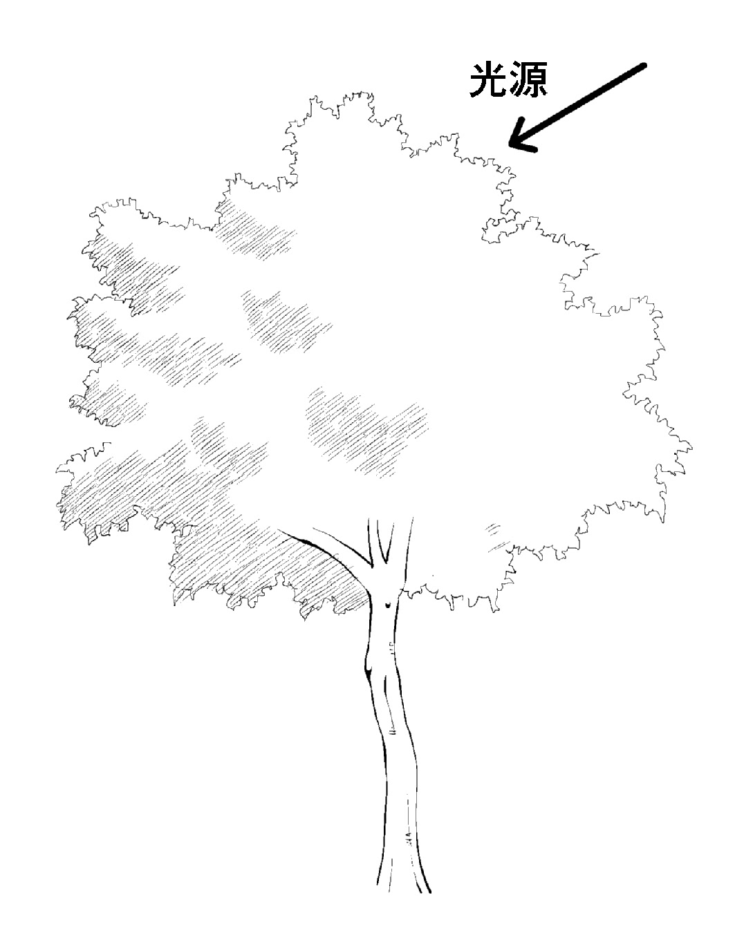 無料印刷可能桜 描き方 イラスト スーパーイラストコレクション