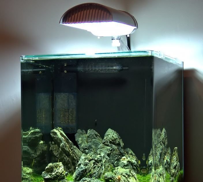  Aquarium Unik Buatan Sendiri  Membuat Filter Aquarium  