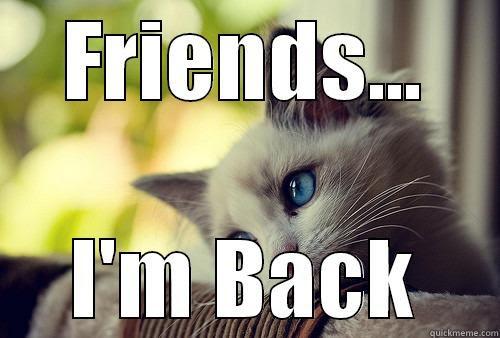 Im Back Meme Funny