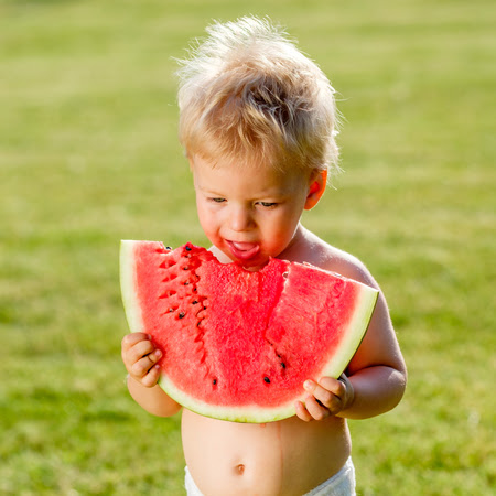 Plus, it's large, so a single melon could feed a whole flock with some leftover for you. Baby Boy Eating Watermelon Stock Images Page Everypixel