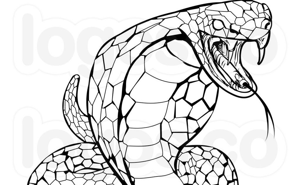 Download Snake Coloring Pages | Coloringnori - Coloring Pages for Kids