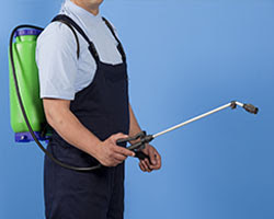 Pasadena , ca , 91107. Expert Pest Control In Los Angeles County Ca Eco Friendly Exterminators In Los Angeles County Ca