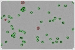 Monitoring Ambient Environmental Conditions in the Lab