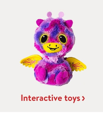 Interactive toys 