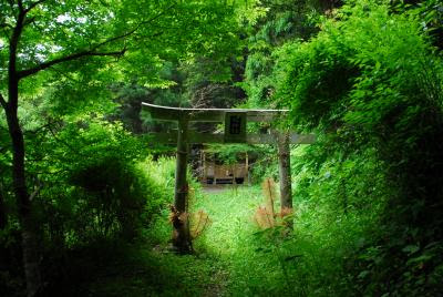 ラブリー幻想 的 神社 壁紙 最高の花の画像