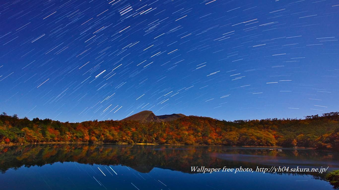 驚くばかり壁紙 夜空 高画質 美しい花の画像